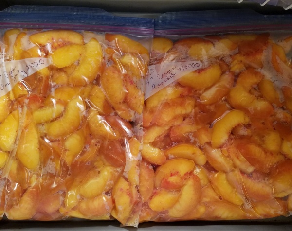 JP And Giant Peaches 1